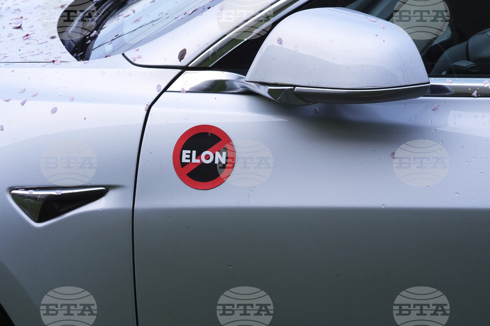 Tesla Protests