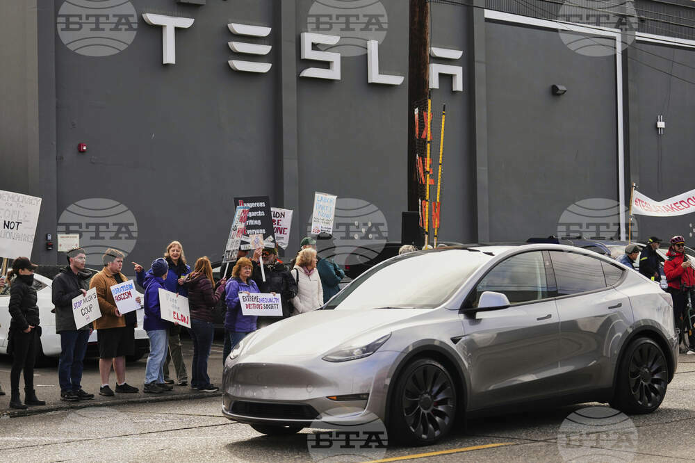 Tesla Protests