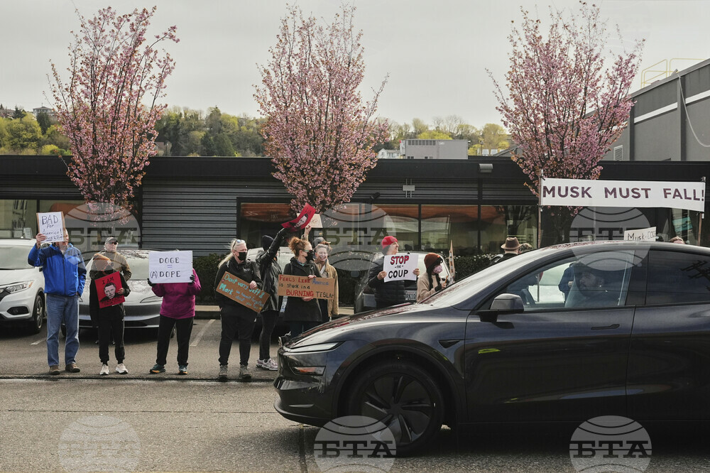Tesla Protests