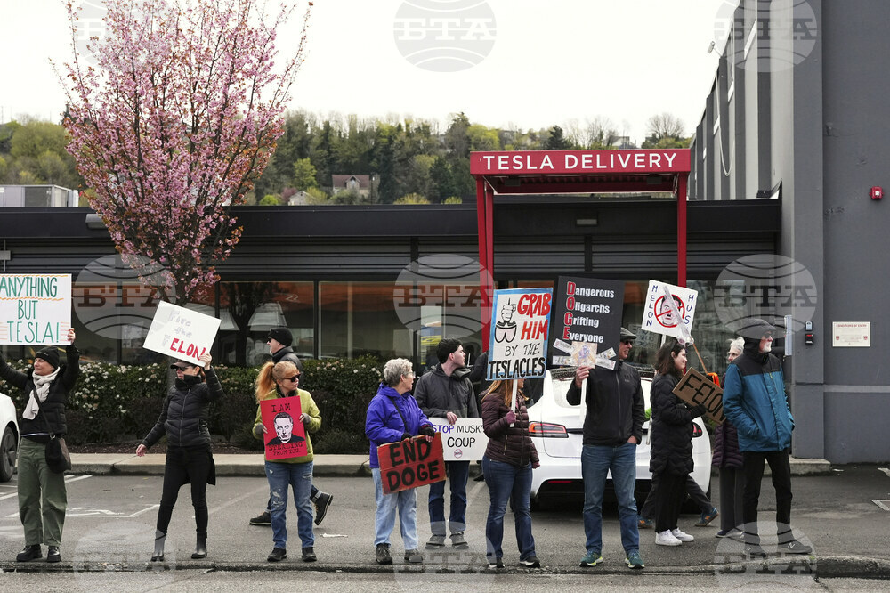 Tesla Protests