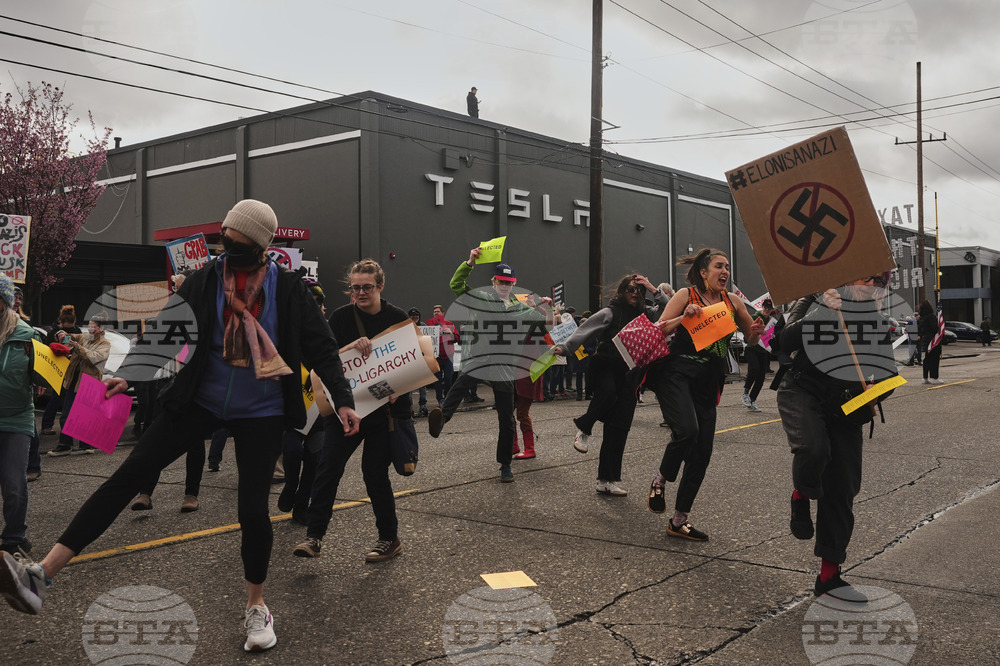 Tesla Protests