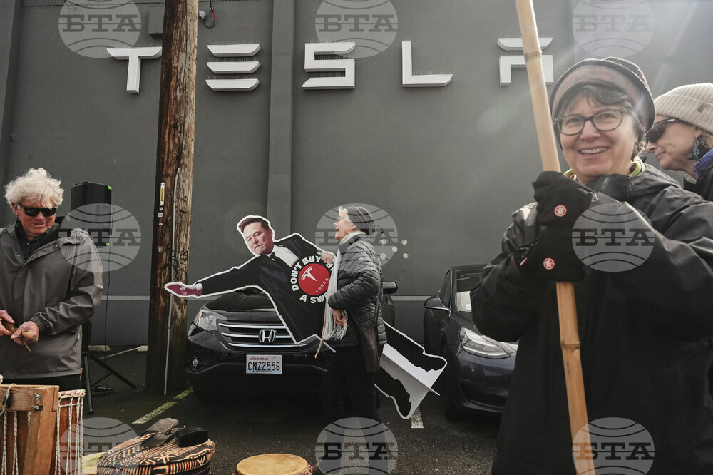Tesla Protests