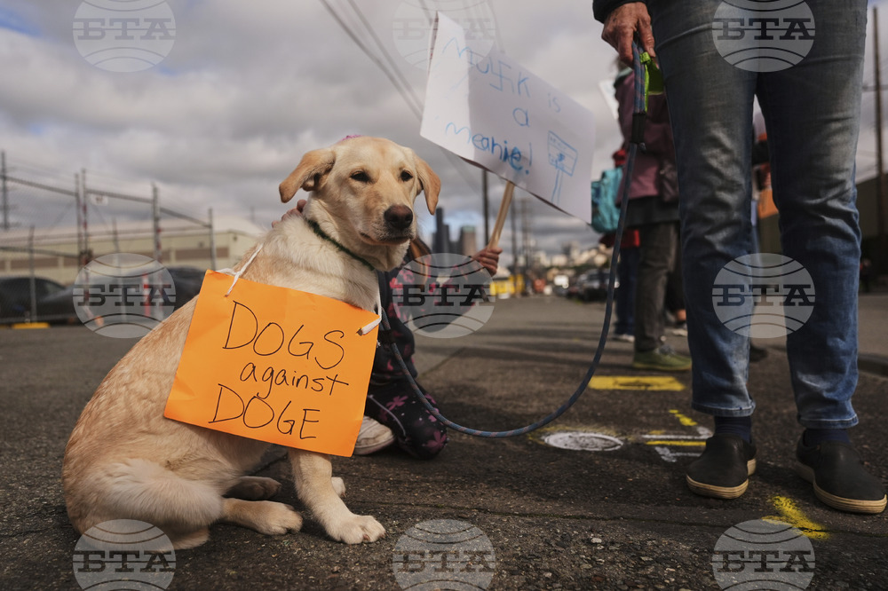 Tesla Protests
