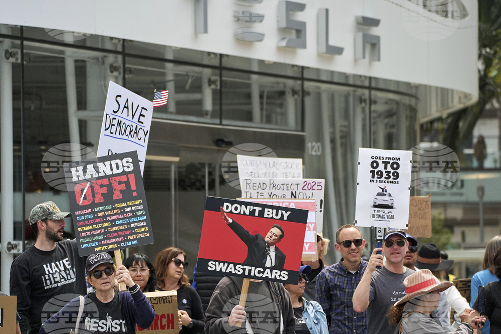 Tesla Protests