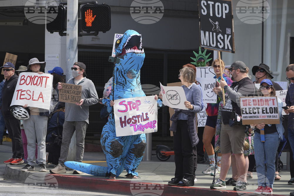 Tesla Protests