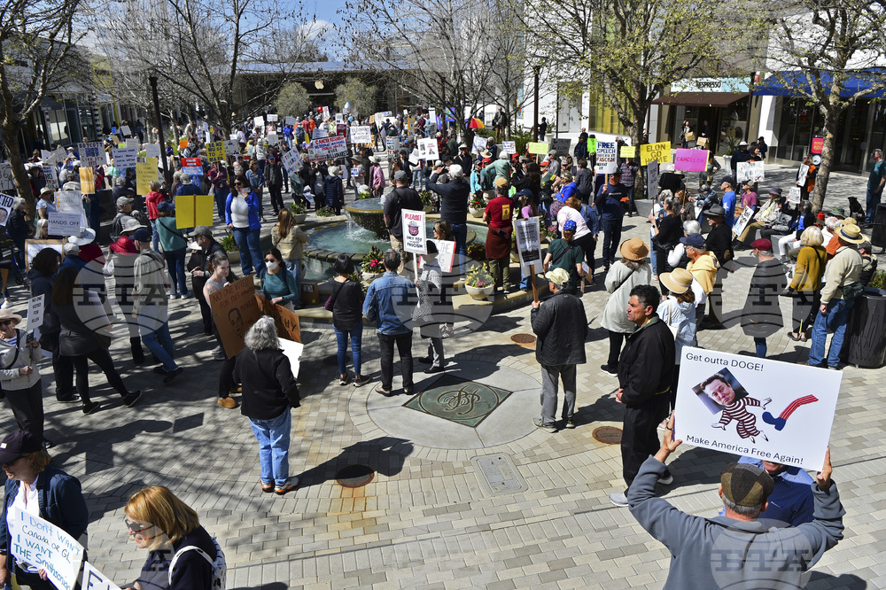 Tesla Protests