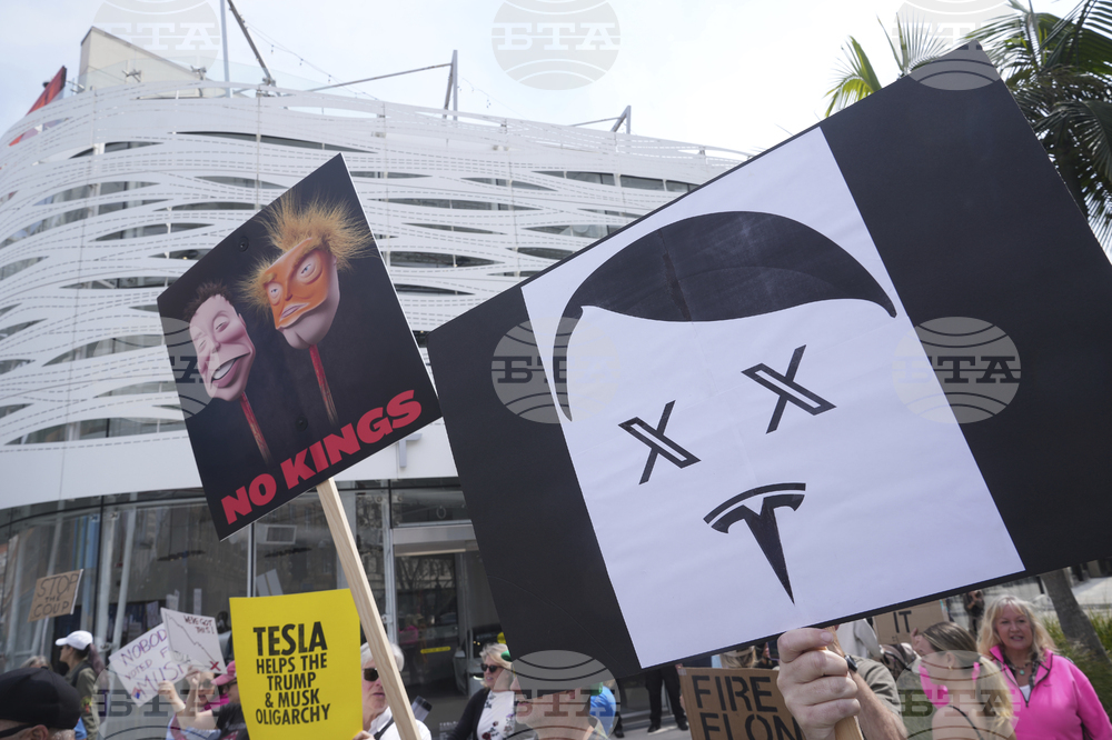 Tesla Protests