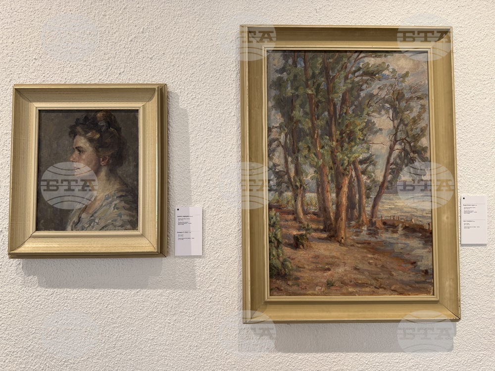 Казанлък - „...И продължавах да рисувам сама“ - изложба