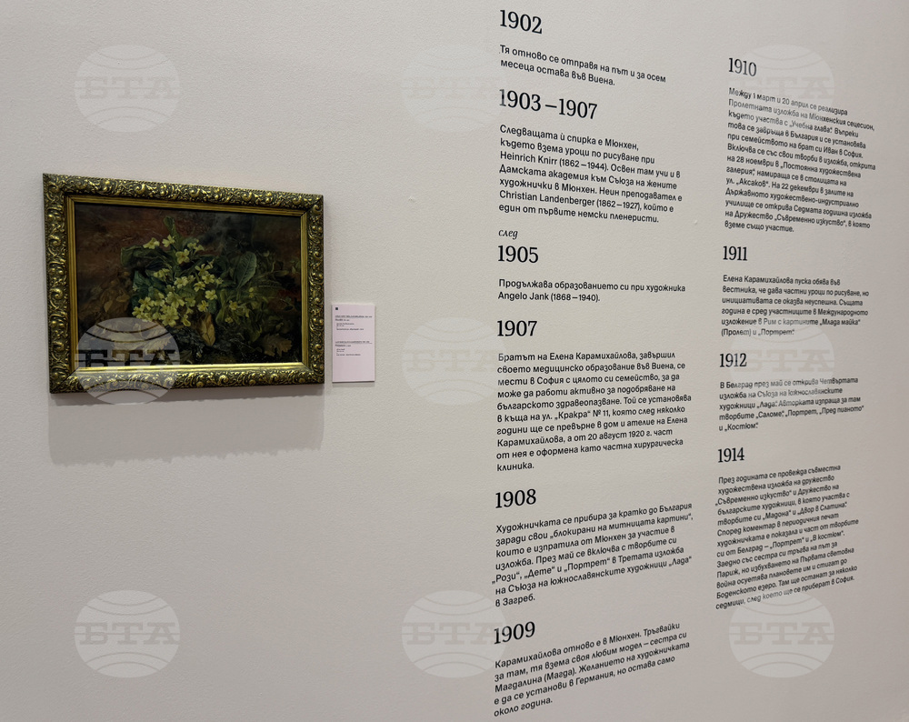 Казанлък - „...И продължавах да рисувам сама“ - изложба