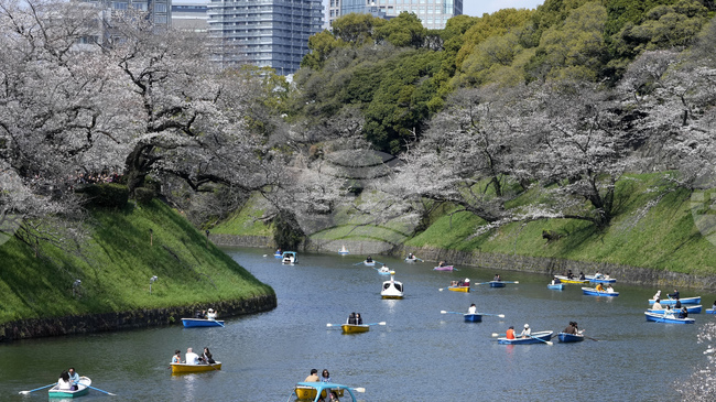 Exhibition "The Path of Japan toward the Bulgarian Reader" to Open at Sofia University