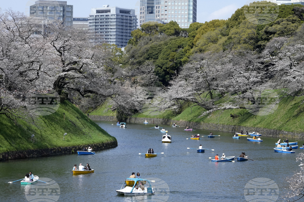Exhibition Exploring Japan's Path towards Bulgarian Reader Opens in Sofia