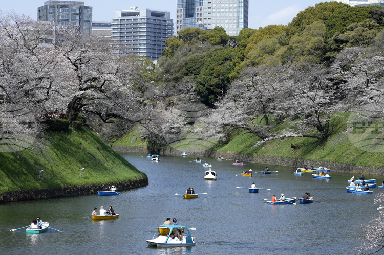 Exhibition Exploring Japan's Path towards Bulgarian Reader Opens in Sofia