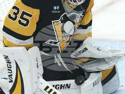 Senators Penguins Hockey