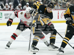 Senators Penguins Hockey