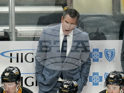 Senators Penguins Hockey