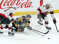 Senators Penguins Hockey