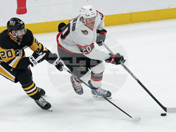 Senators Penguins Hockey