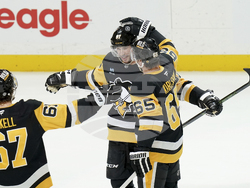 Senators Penguins Hockey