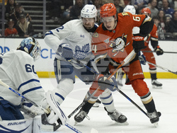 Maple Leafs Ducks Hockey