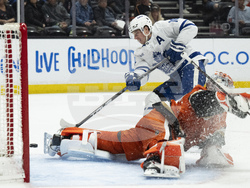 Maple Leafs Ducks Hockey