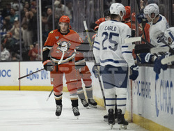 Maple Leafs Ducks Hockey