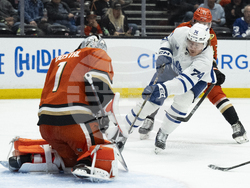 Maple Leafs Ducks Hockey