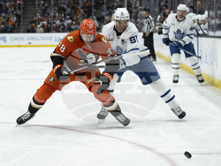 Maple Leafs Ducks Hockey