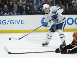 Maple Leafs Ducks Hockey