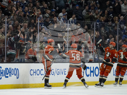 Maple Leafs Ducks Hockey