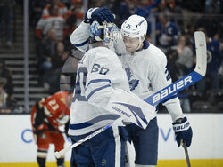 Maple Leafs Ducks Hockey