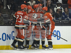 Maple Leafs Ducks Hockey