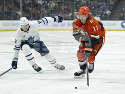 Maple Leafs Ducks Hockey