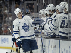 Maple Leafs Ducks Hockey