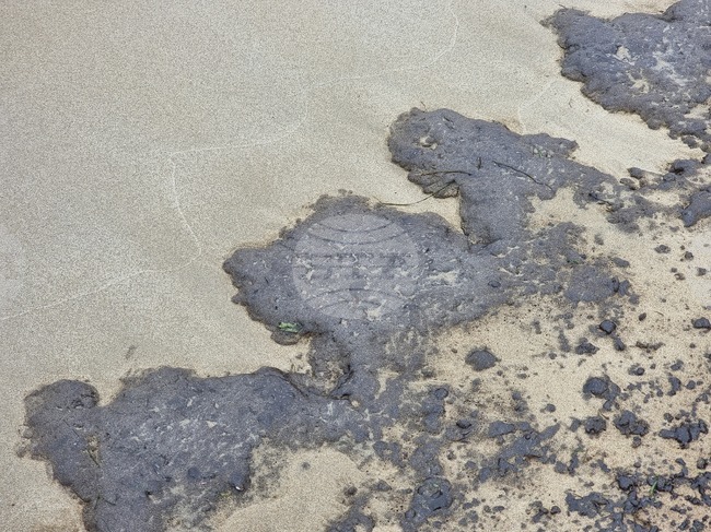 Не е установен брегови източник на замърсяването във Варна