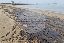 Варна - нефтен разлив