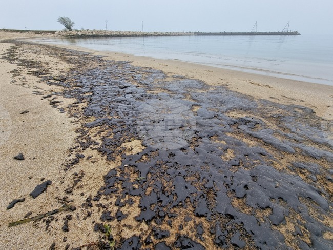 Институциите проверяват сигнал за петна от мазут в морето край Варна