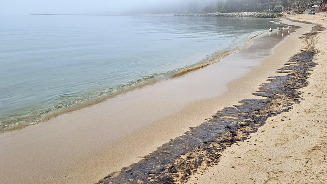 Pomorie Municipality Denies Reports of Oil Spills on Beaches