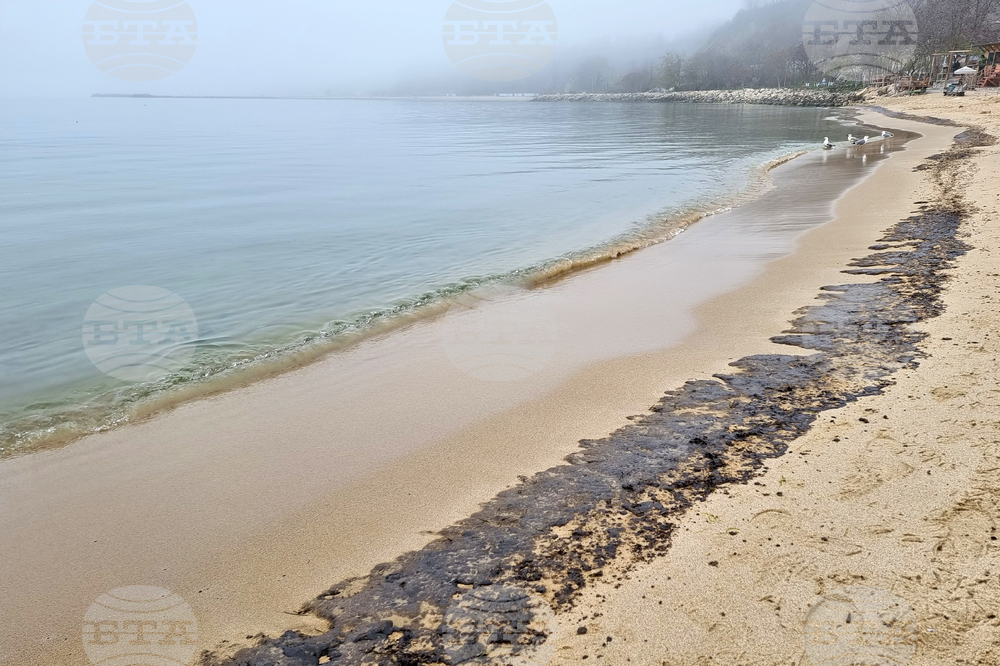 Fuel Oil Washes Up on Bulgarian Shore, Authorities Examine Nine Ships