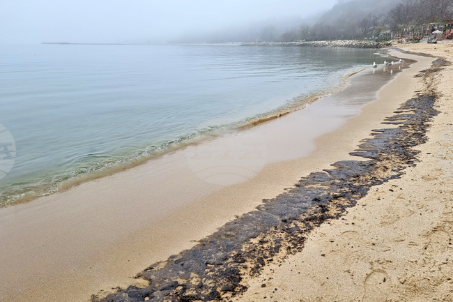 Pomorie Municipality Denies Reports of Oil Spills on Beaches