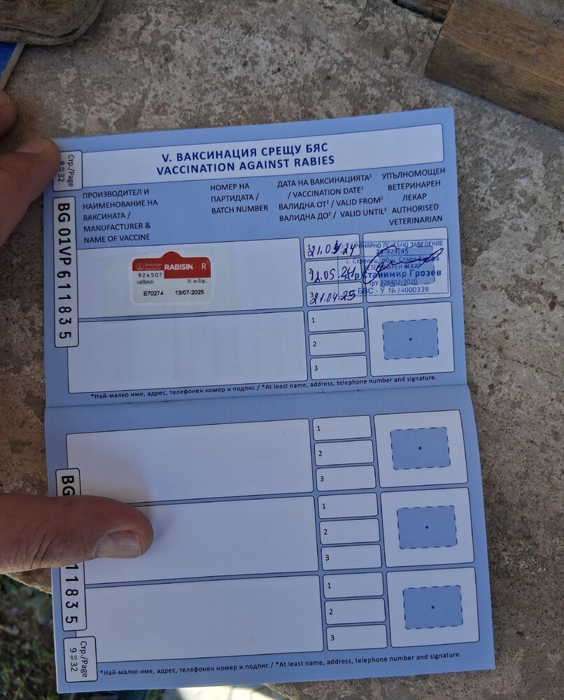 Община Стара Загора: Собственик на куче наруши два закона, глобиха и водач на тротинетка, карал по тротоар