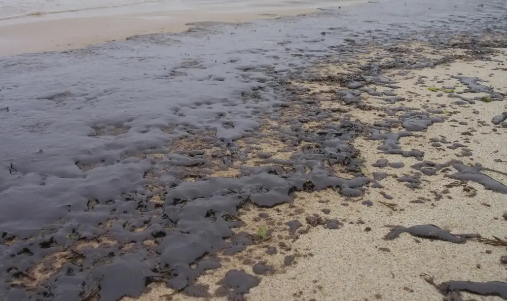 Областна администрация Варна: Обобщена информация за действията на институциите след разлива на мазут в морето и на варненския бряг