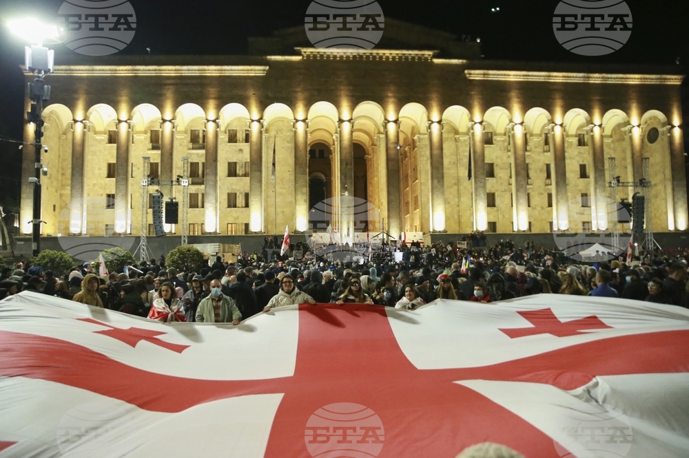 Германия временно отзова посланика си от Грузия, напрежението между Тбилиси и Европа постепенно се покачва