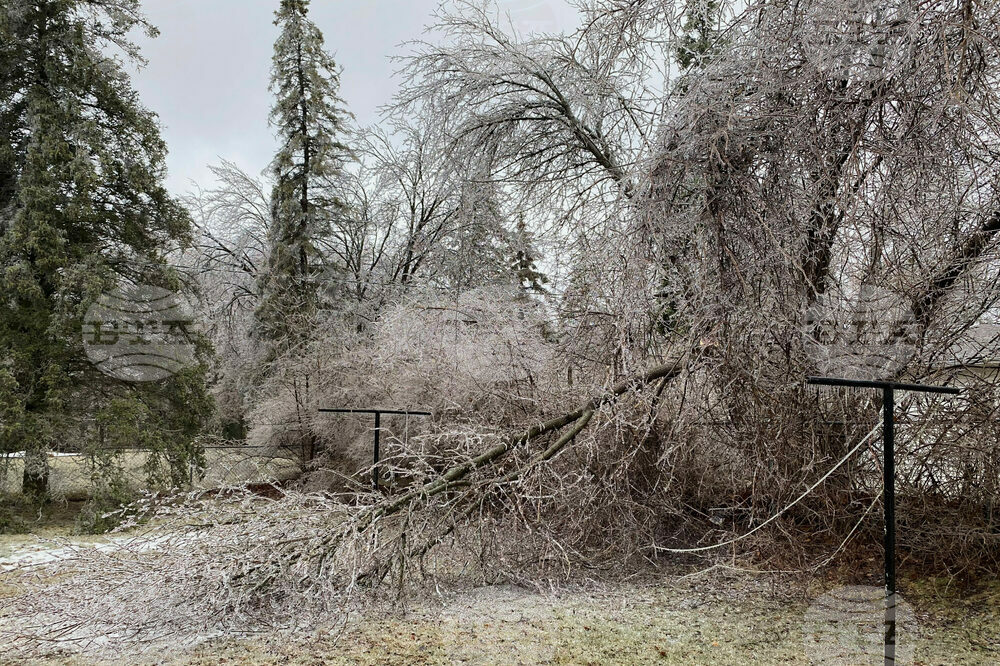 Severe Weather Michigan