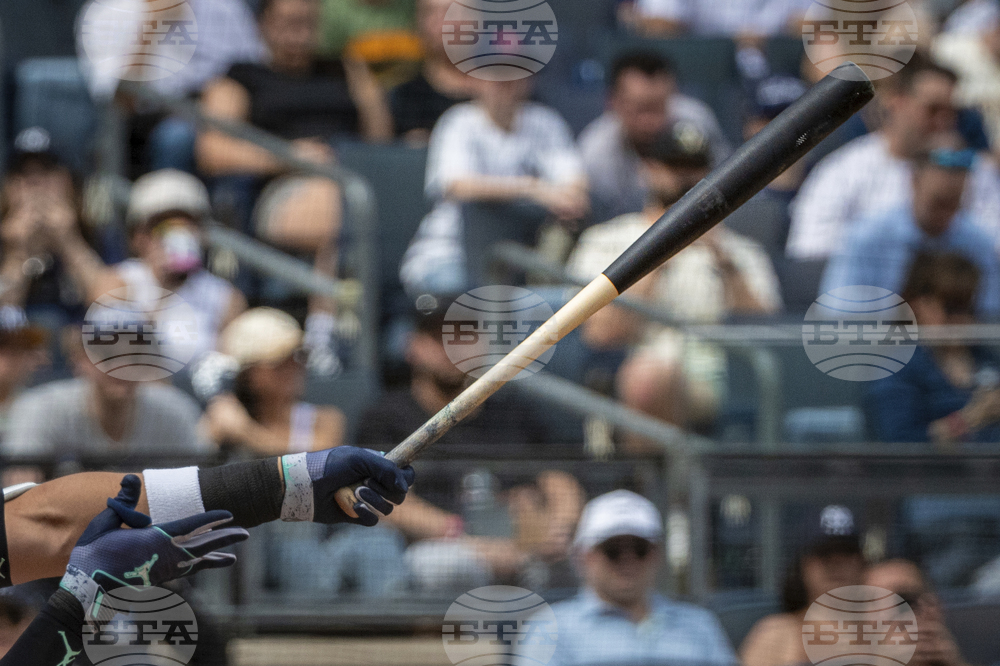 Torpedo Bats Baseball
