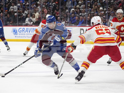 Flames Avalanche Hockey