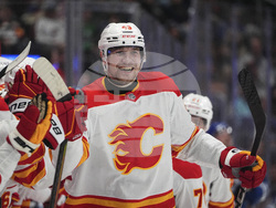 Flames Avalanche Hockey