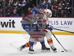 Flames Avalanche Hockey