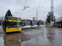 Стара Загора - „Тролейбусни и автобусни превози“ ЕООД - Ден на отворените врати