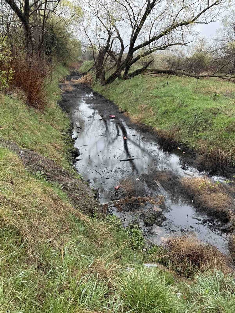 Извънредна проверка на РИОСВ-София е установила разлив на моторно масло в река Беравица
