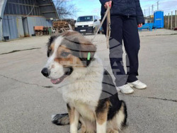 Снимка: Община Варна